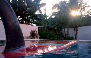 North Coast Surf pool North Coast Surf pool